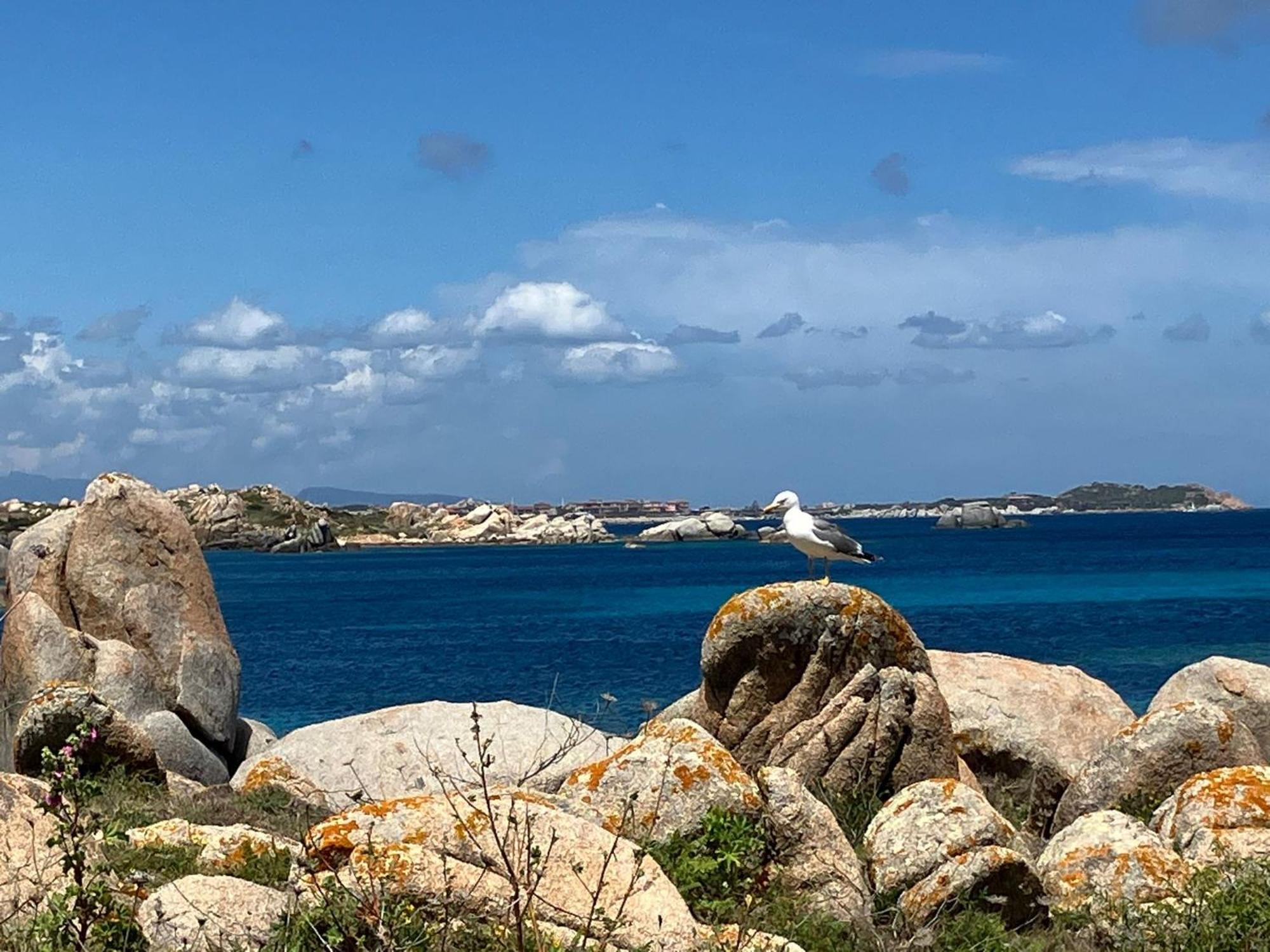 Maison Non Fumeur - Jardin 5 Personnes Proche Des Plages Finisteriennes Guipavas Luaran gambar